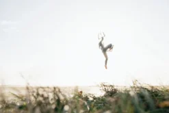 Mystic Neoprenanzug Jayde Fullsuit M Double Fzip Women 3/2 Damen Langarm 410-Navy 2023 -Angebote Aqua Neo Suit Store 114025 c7bc22f08923504a7bbee19e28b6797170c95086 1 jpg