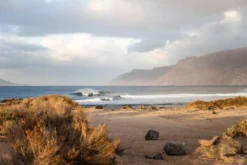 ION Neoprenanzug Element Steamer SS FZ DL 2/2 Herren Dark Olive/white/black 2022 11 ION Neoprenanzug Element Steamer SS FZ DL 2/2 Herren Dark Olive/white/black 2022 -Angebote Aqua Neo Suit Store C0A5343 30 jpg