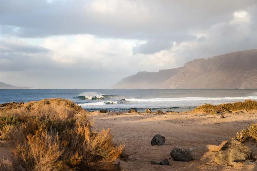 ION Neoprenanzug Element Steamer SS FZ DL 2/2 Herren Dark Olive/white/black 2022 7 ION Neoprenanzug Element Steamer SS FZ DL 2/2 Herren Dark Olive/white/black 2022 – Bild 5